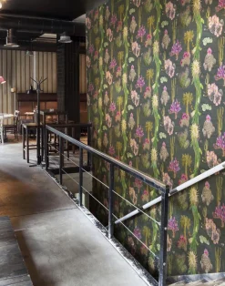 Cactus Mexicanos, Carbon