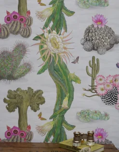 Cactus Mexicanos, Dove