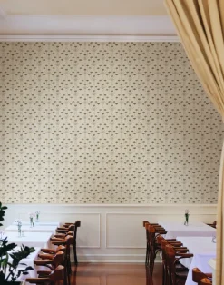 Candelabra, Novelle WPLN0028