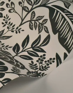 Canopy, Black and White RI5136