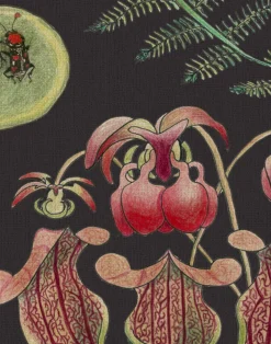 Carolina Parakeets, Prunus