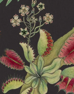 Carolina Parakeets, Prunus