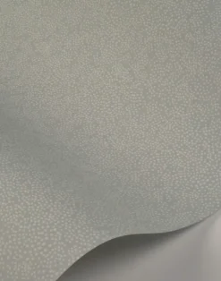 Champagne Dots, Mineral RI5114