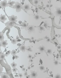 Cherry Blossom Floraison, Snow