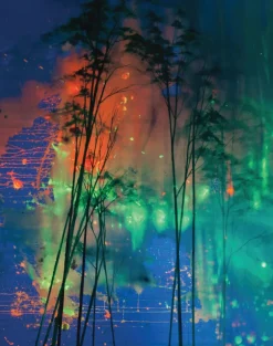 Come closer and see - See Into the Trees, Nighttime KL101-02