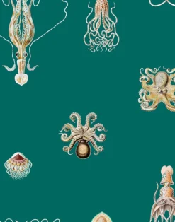 Consortium, Carribbean Deep