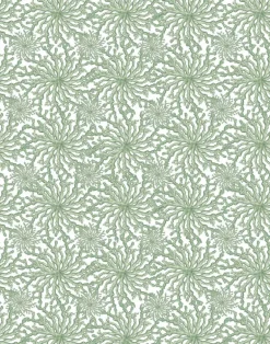 Coral Haze, Sage Green