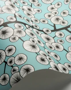 Cotton Tree, Sky Blue