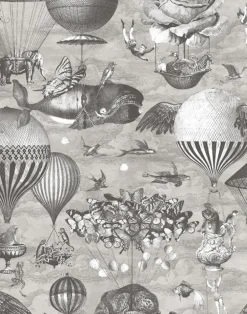 CURIOUS SKIES BLACK & WHITE