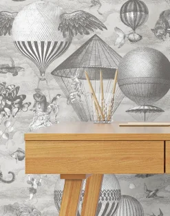 CURIOUS SKIES BLACK & WHITE