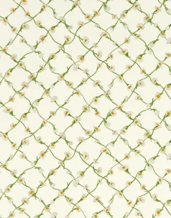 Daisy Trellis, Emerald Pearl