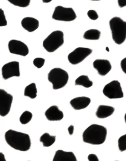 Dalmatian
