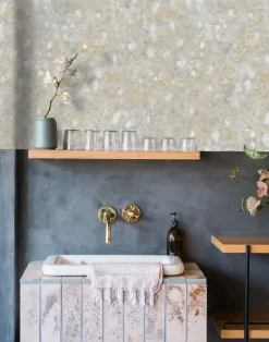 Dawn, Grey Pre-Pasted