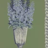DELPHINIUM, ARBOUR GREEN
