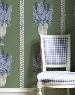 DELPHINIUM, ARBOUR GREEN