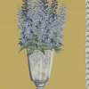 DELPHINIUM, Mustard
