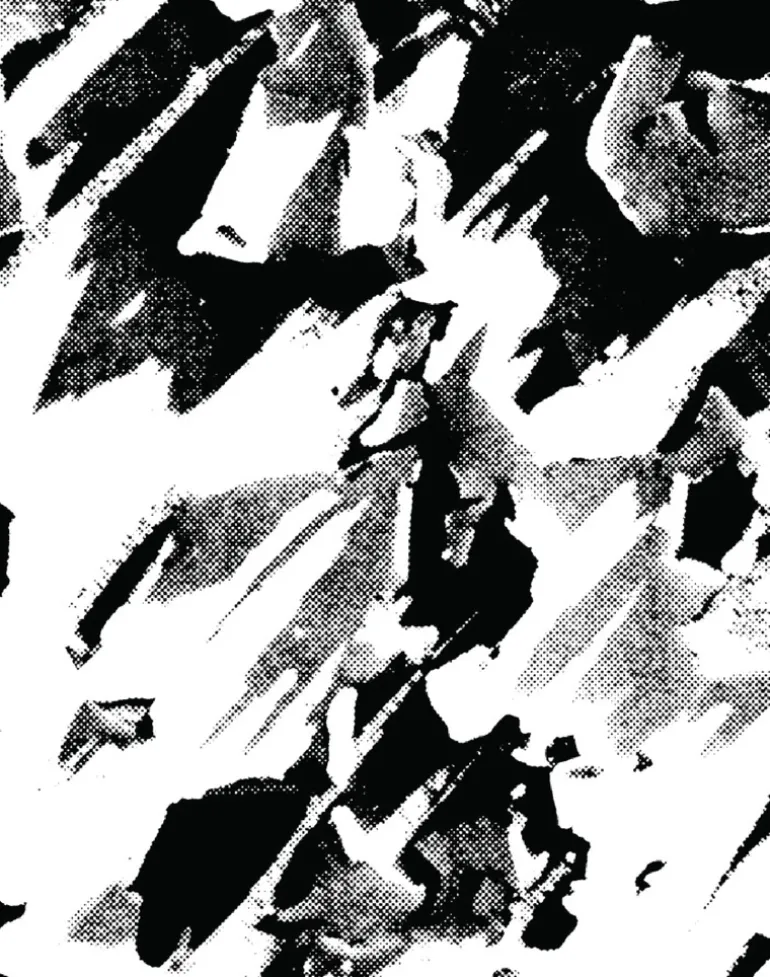 Desert, Black & White