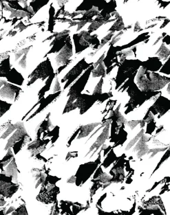 Desert, Black & White