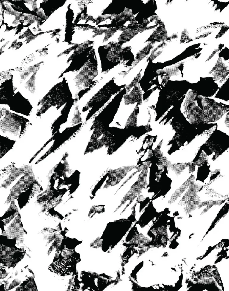 Desert, Black & White