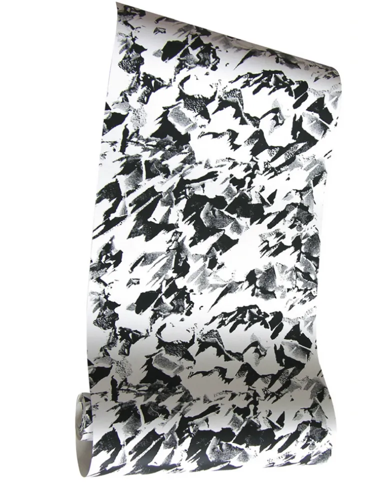 Desert, Black & White