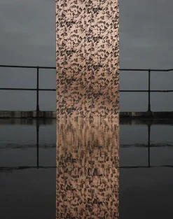 Desert, Copper Rose & Battleship Grey