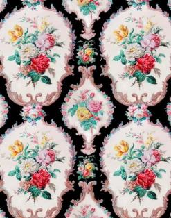 Drunk Marie Antoinette, Black