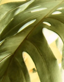 Dusk - The Sound of Water, Acid PM163-05