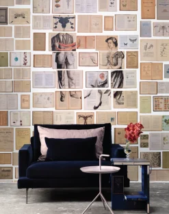 EKA-04 Biblioteca Wallpaper by Ekaterina Panikanova