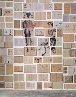 EKA-04 Biblioteca Wallpaper by Ekaterina Panikanova