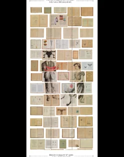 EKA-04 Biblioteca Wallpaper by Ekaterina Panikanova