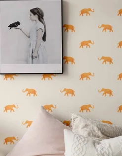 Eli, Orange on Cream