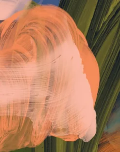 English Rose, Midnight