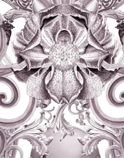 Europa W-EUR-PLU-TMI