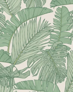 Exotic Paradise, Tropical