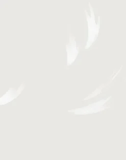 Falling Feather, Cream