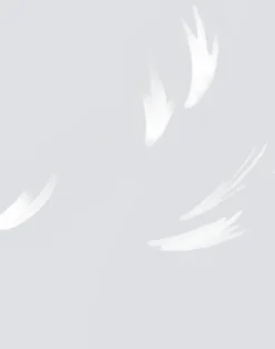 Falling Feather, Dove Grey