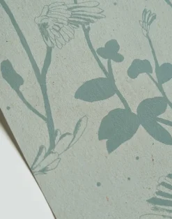 Feather Plant, Aquamarine