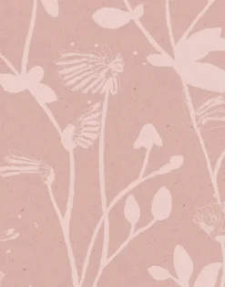 Feather Plant, Blush