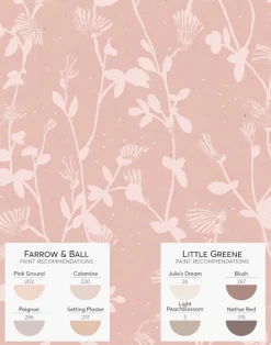 Feather Plant, Blush