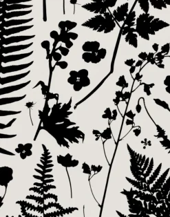 Forage, Black on Parchment