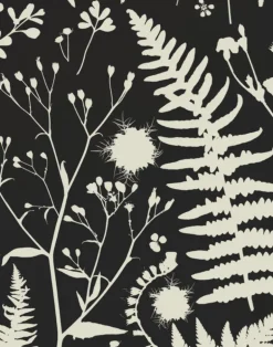 Forage, Parchment on Black