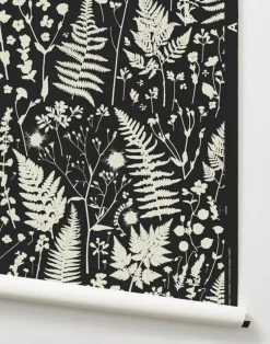 Forage, Parchment on Black