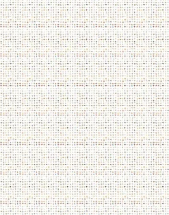 Forager Small, White