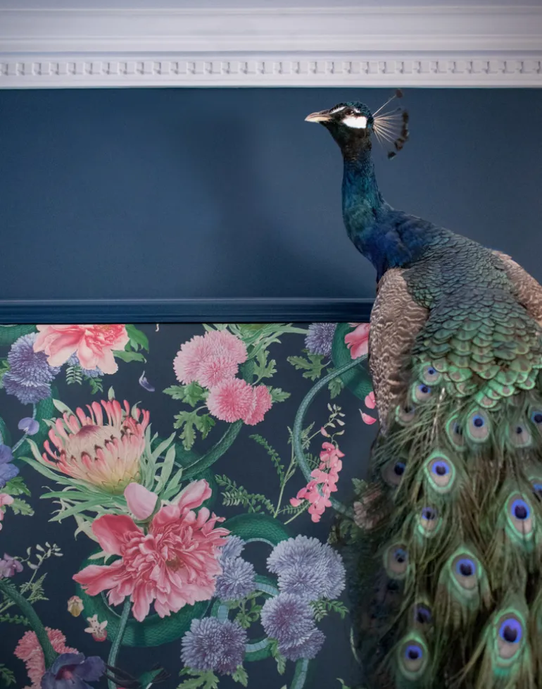 Forbidden Bloom, Deep Blue