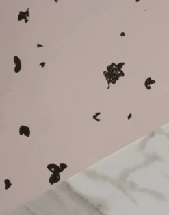 Fragments, Wild Rose