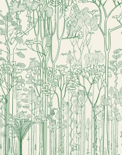 Francis Hallé, Chlorophylle