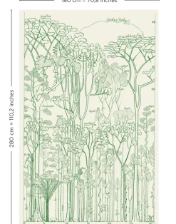 Francis Hallé, Chlorophylle