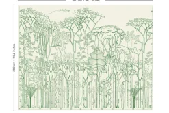 Francis Hallé, Chlorophylle