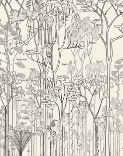 Francis Hallé, Original