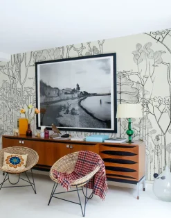 Francis Hallé, Original